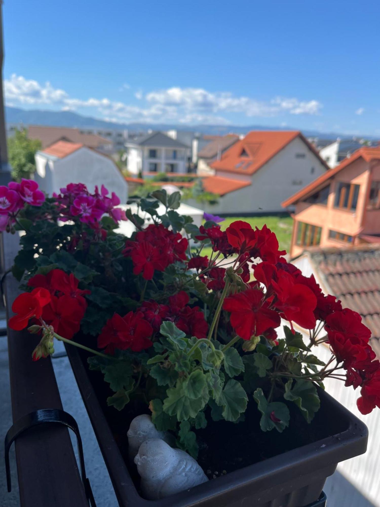 Apartament Acasa Sibiu Exterior foto